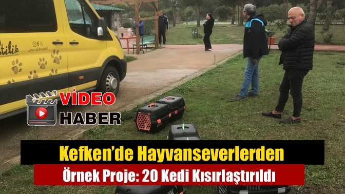 Kefken’de Hayvanseverlerden Örnek Proje: 20 Kedi Kısırlaştırıldı