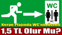 Kerpe plajında WC'nin ücreti 1,5 TL olur mu?