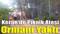 Kerpe'de Piknik ateşi ormanı yaktı