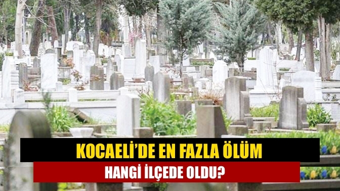 Kocaeli’de en fazla ölüm hangi ilçede oldu?