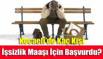 Kocaeli’de Kaç Kişi İşsizlik Maaşı İçin Başvurdu?