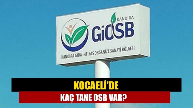 Kocaeli’de kaç tane OSB var?