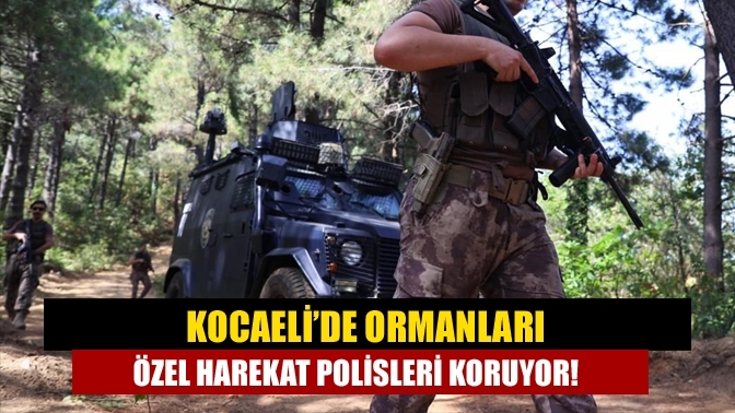 Kocaeli’de ormanları özel harekat polisleri koruyor!