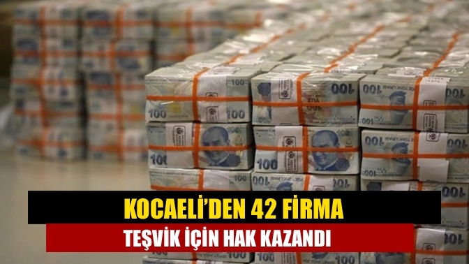 Kocaeli’den 42 firma teşvik için hak kazandı