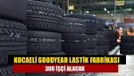 Kocaeli Goodyear lastik fabrikası 300 işçi alacak