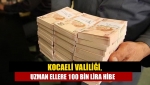 Kocaeli Valiliği, Uzman ellere 100 bin lira hibe