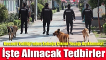 Kocaeli Valiliği'nden sokağa çıkma yasağı açıklaması! İşte alınacak tedbirler