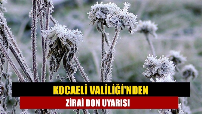 Kocaeli Valiliği'nden zirai don uyarısı