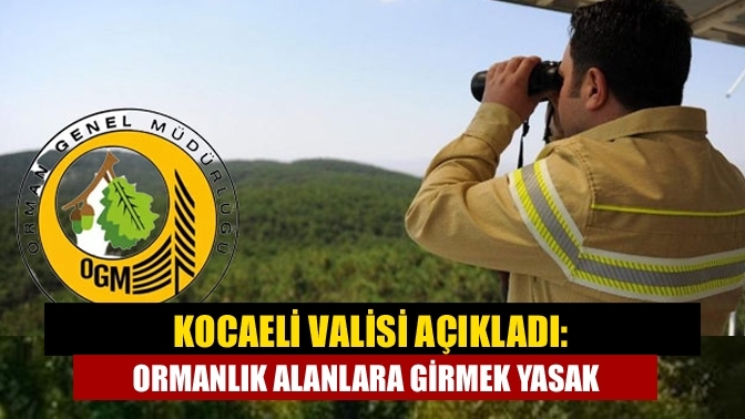 Kocaeli Valisi açıkladı: Ormanlık alanlara girmek yasak