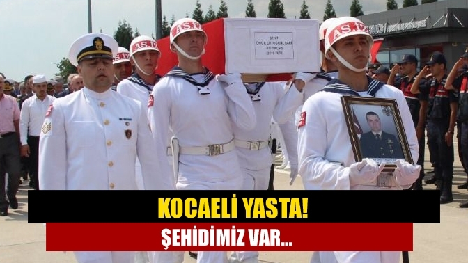 Kocaeli yasta! Şehidimiz var...