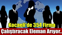 Kocaeli'de 354 firma Çalıştıracak eleman arıyor...