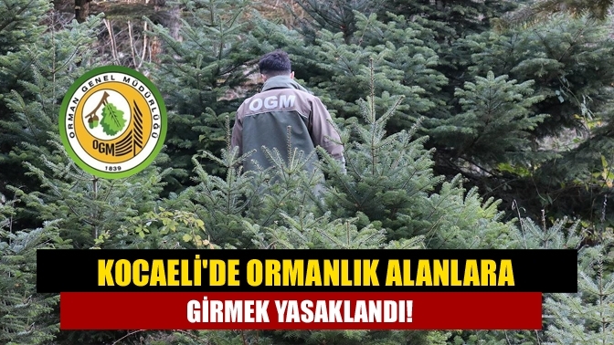 Kocaeli'de ormanlık alanlara girmek yasaklandı!