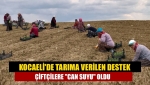 Kocaeli'de tarıma verilen destek çiftçilere "can suyu" oldu