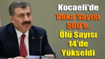 Kocaeli'de vaka sayısı 500'e, ölü sayısı 14'de yükseldi