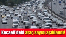 Kocaeli'deki araç sayısı açıklandı!