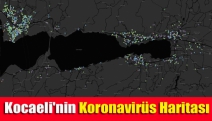 Kocaeli'nin koronavirüs haritası