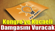 Kongre’ye Kocaeli damgasını vuracak