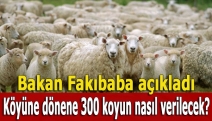 Köyüne dönene 300 koyun nasıl verilecek?