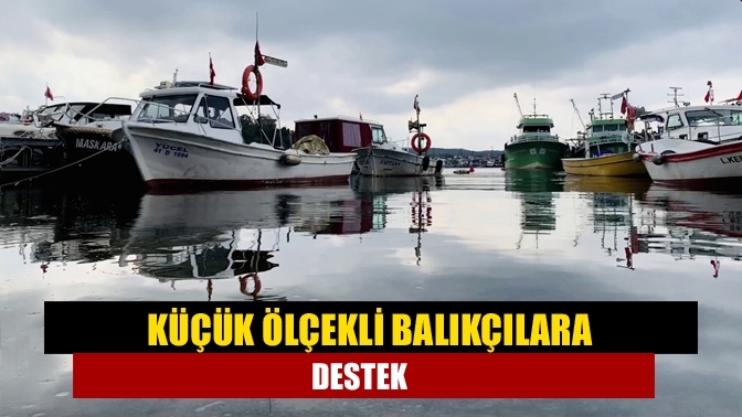 Küçük ölçekli balıkçılara destek