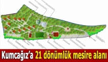 Kumcağız’a 21 dönümlük mesire alanı