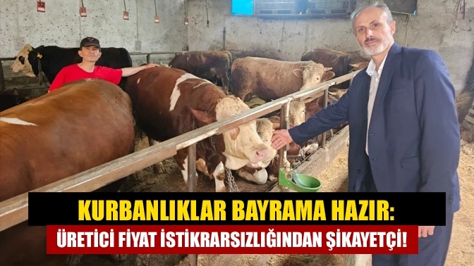 Kurbanlıklar bayrama hazır: Üretici fiyat istikrarsızlığından şikayetçi!