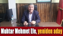 Muhtar Mehmet Efe, yeniden aday