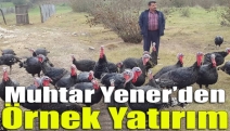 Muhtar Yener’den örnek yatırım