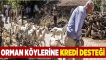 Orman köylerine kredi desteği