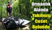 Ormanlık alanda yakılmış ceset bulundu