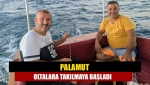 Palamut oltalara takılmaya başladı