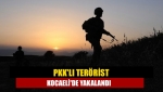 PKK'lı terörist Kocaeli'de yakalandı