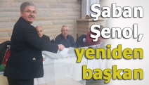 Şaban Şenol, yeniden başkan