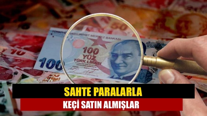 Sahte paralarla keçi satın almışlar