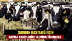 Şarbon hastalığı için hayvan sahiplerine tazminat ödenecek