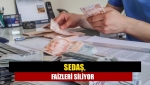 SEDAŞ, faizleri siliyor