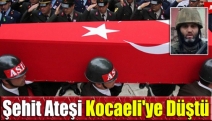 Şehit Ateşi Kocaeli'ye Düştü