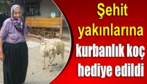 Şehit yakınlarına kurbanlık koç hediye edildi