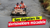 Ses dalgaları ile sivrisineklere mücadele