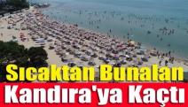 Sıcaktan bunalan Kandıra'ya kaçtı