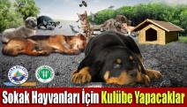 Sokak hayvanları için kulübe yapacaklar