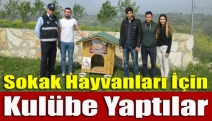 Sokak Hayvanları İçin Kulübe Yaptılar