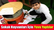 Sokak Hayvanları İçin Yuva Yaptılar