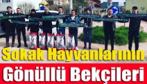 Sokak hayvanlarının gönüllü bekçileri