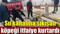 Su kanalına sıkışan köpeği itfaiye kurtardı