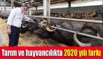 Tarım ve hayvancılıkta 2020 yılı farkı