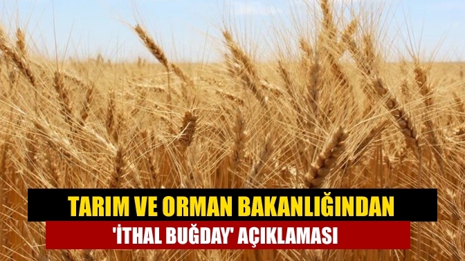 Tarım ve Orman Bakanlığından 'ithal buğday' açıklaması