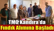 TMO Kandıra’da fındık alımına başladı