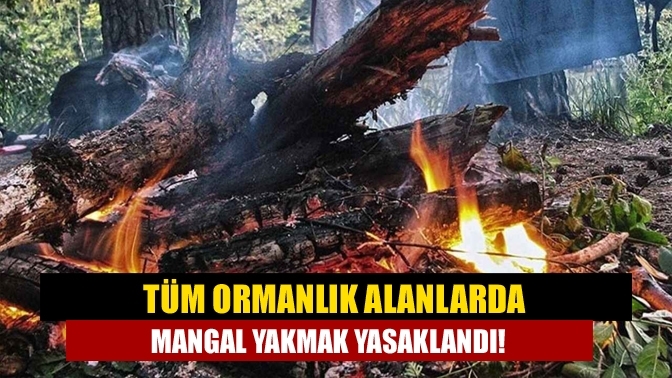 Tüm ormanlık alanlarda mangal yakmak yasaklandı!
