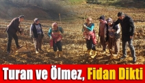 Turan ve Ölmez, fidan dikti