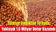 Türkiye fındıktan 10 ayda yaklaşık 1,6 milyar dolar kazandı